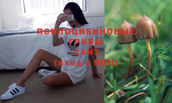 mix Аркадак