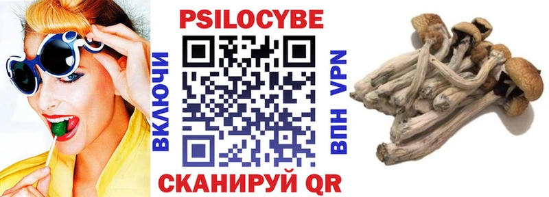 Галлюциногенные грибы GOLDEN TEACHER  Абакан 